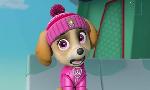 Revoir Paw patrol, la pat'patrouille du 08 Juin