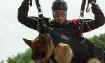 Revoir Rex, chien flic du 09 Juin