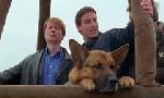 Revoir Rex, chien flic du 17 Juin