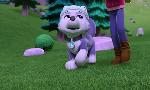 Revoir Paw patrol, la pat'patrouille du 18 Juin