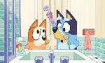 Revoir Bluey du 07 Juin