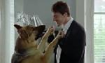 Revoir Rex, chien flic du 23 Juin
