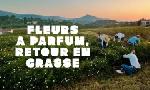 Revoir La ligne bleue du 23 Juin