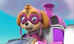 Revoir Paw patrol, la pat'patrouille du 24 Juin