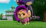 Revoir Paw patrol, la pat'patrouille du 25 Juin