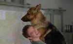 Revoir Rex, chien flic du 25 Juin
