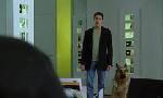 Revoir Rex, chien flic du 26 Juin