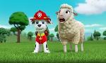Revoir Paw patrol, la pat'patrouille du 27 Juin