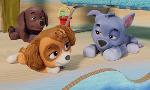 Revoir Paw patrol, la pat'patrouille du 28 Juin