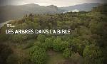 Revoir Les chemins de la foi du 29 Juin