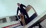 Revoir Rex, chien flic du 30 Juin