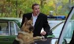 Revoir Rex, chien flic du 30 Juin