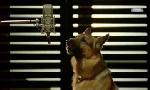Revoir Rex, chien flic du 30 Juin
