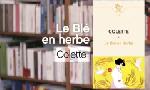Revoir La p'tite librairie du 02 Juillet