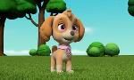Revoir Paw patrol, la pat'patrouille du 03 Juillet