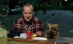Revoir Rex, chien flic du 04 Juillet