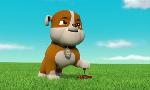 Revoir Paw patrol, la pat'patrouille du 05 Juillet