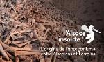 Revoir L'alsace insolite du 06 Juillet