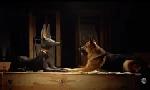 Revoir Rex, chien flic du 07 Juillet