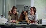 Revoir Rex, chien flic du 07 Juillet
