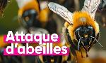 Revoir Top info du 07 Juillet