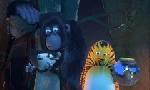 Revoir Les as de la jungle à la rescousse du 08 Juillet