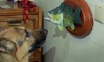 Revoir Rex, chien flic du 09 Juillet