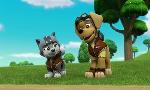 Revoir Paw patrol, la pat'patrouille du 12 Juillet