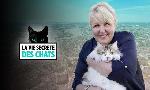 Revoir La vie secrète des chats du 12 Juillet