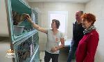 Revoir Animaux à adopter du 13 Juillet