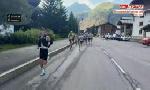 Revoir Tous sports - le replay du format court des championnats de france de trail : du 16 Juillet