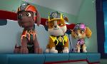 Revoir Paw patrol, la pat'patrouille du 19 Juillet