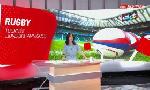 Revoir Les lions remportent le premier test face à l?australie : du 19 Juillet