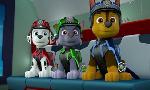 Revoir Paw patrol, la pat'patrouille du 20 Juillet