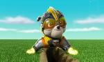 Revoir Paw patrol, la pat'patrouille du 23 Juillet