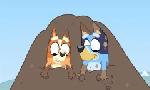 Revoir Bluey du 24 Juillet