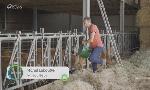 Revoir Foire de libramont du 25 Juillet