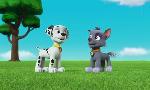 Revoir Paw patrol, la pat'patrouille du 27 Juillet