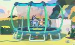 Revoir Bluey du 27 Juillet