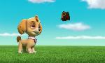 Revoir Paw patrol, la pat'patrouille du 02 Aout