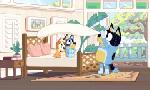 Revoir Bluey du 02 Aout
