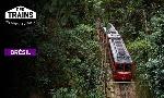 Revoir Des trains pas comme les autres du 03 Aout