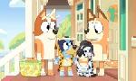 Revoir Bluey du 22 Juillet