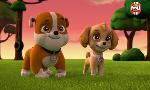 Revoir Paw patrol, la pat'patrouille du 09 Aout