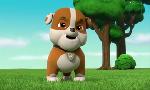Revoir Paw patrol, la pat'patrouille du 09 Aout