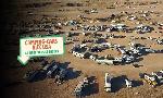 Revoir Camping-cars aux usa : la ruée vers le désert du 10 Aout