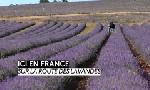 Revoir Ici en france du 10 Aout