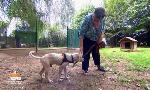 Revoir Animaux à adopter du 10 Aout