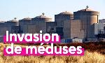 Revoir Top info du 12 Aout