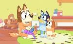 Revoir Bluey du 13 Aout